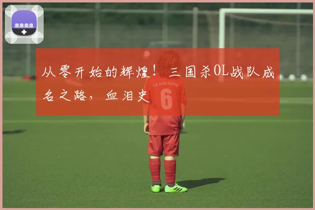 从零开始的辉煌!三国杀OL战队成名之路,血泪史